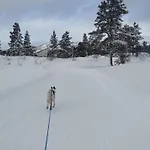 Fjellstue *