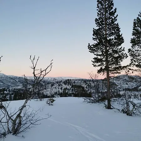 Fjellstue Lejlighed