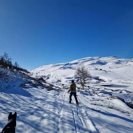 Lejlighed Fjellstue Botn (Telemark)