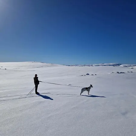 Fjellstue