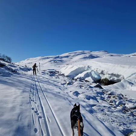 Fjellstue Appartamento *